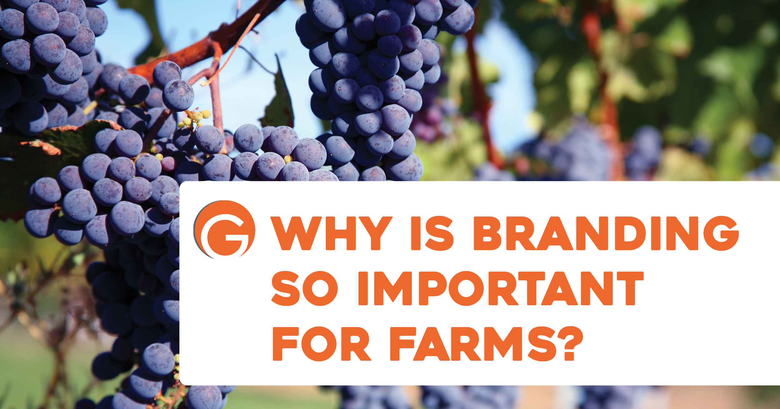 Why is branding so important for farms?